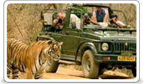 Swai Madhopur