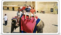 Amber Fort