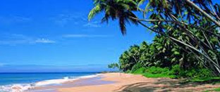Golden Triangle with Goa