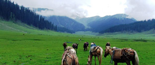 Golden Triangle with Kashmir