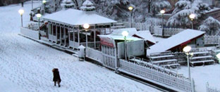Mystic Himachal Tour 