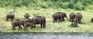 Kerala Tour Packages