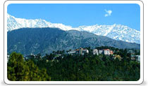 Shimla