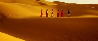Rajasthan and Golden Sand Tour