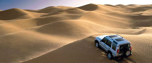 Explore Rural Rajasthan By Horse And Jeep Safaris