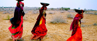Rural Rajasthan