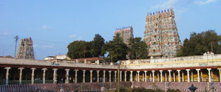 Temple and Spices