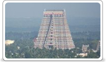 Srirangam Temple, Trichy